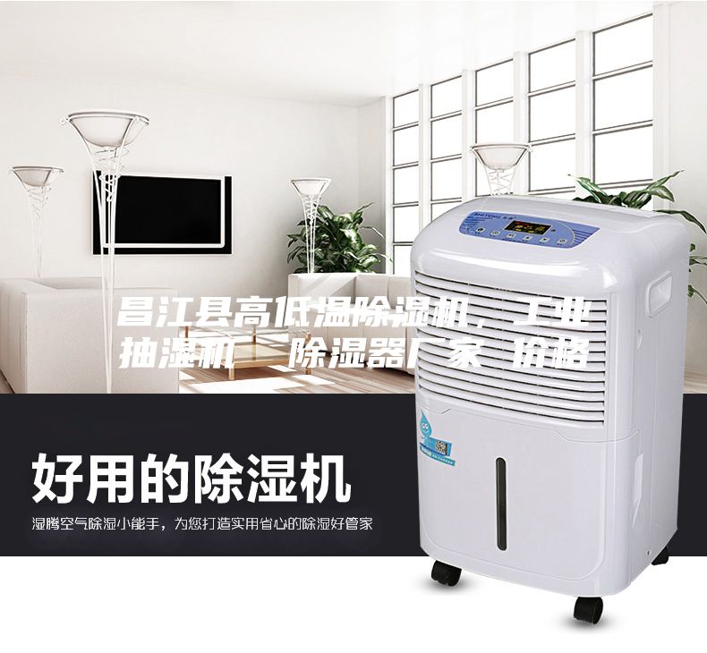 昌江縣高低溫除濕機(jī)，工業(yè)抽濕機(jī)  除濕器廠家 價(jià)格