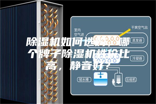 除濕機(jī)如何選購(gòu)，哪個(gè)牌子除濕機(jī)性價(jià)比高，靜音好？