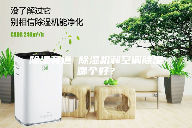 除濕有道 除濕機(jī)和空調(diào)除濕哪個(gè)好？