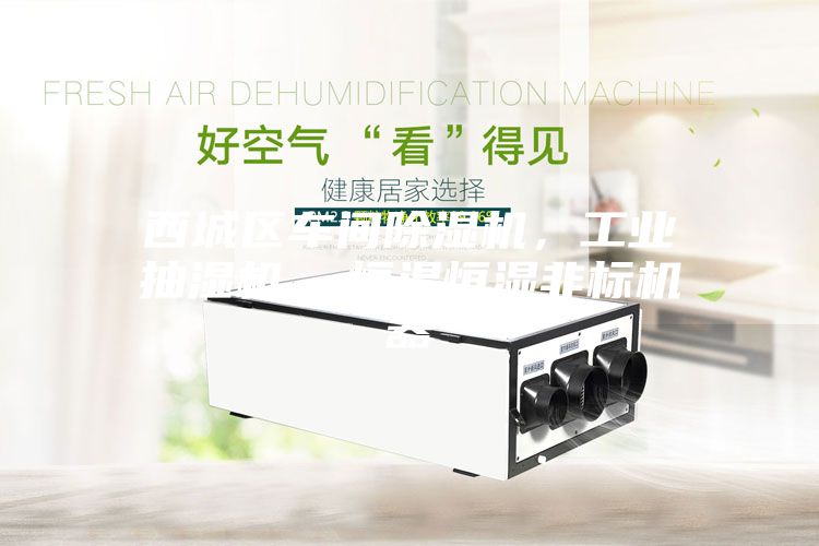西城區(qū)車間除濕機，工業(yè)抽濕機  恒溫恒濕非標機器
