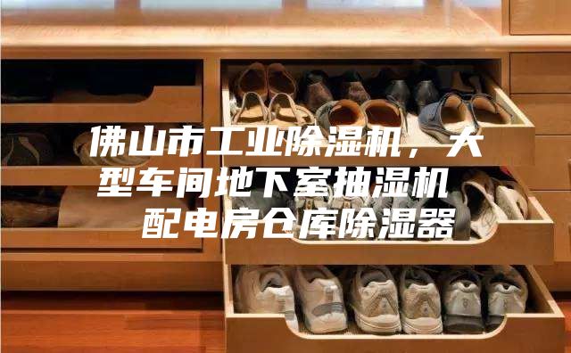 佛山市工業(yè)除濕機(jī)，大型車間地下室抽濕機(jī)  配電房倉庫除濕器