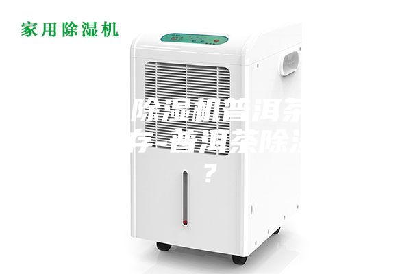 沒有除濕機普洱茶怎么保存-普洱茶除濕嗎？