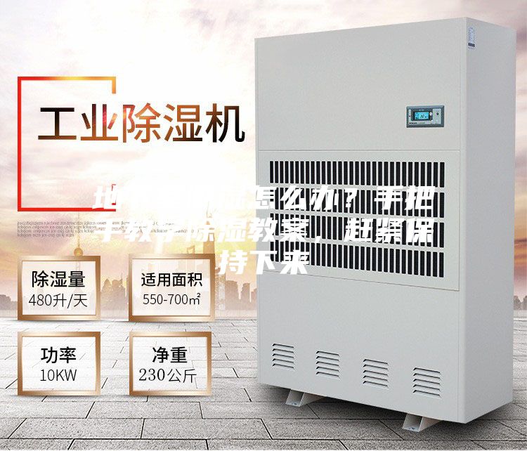 地下室潮濕怎么辦？手把手教學(xué)除濕教案，趕緊保持下來