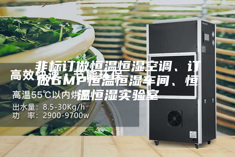 非標(biāo)訂做恒溫恒濕空調(diào)、訂做GMP恒溫恒濕車間、恒溫恒濕實(shí)驗(yàn)室