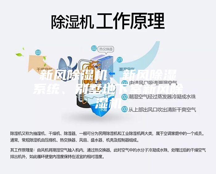 新風(fēng)除濕機(jī)、新風(fēng)除濕系統(tǒng)、別墅地下室新風(fēng)除濕機(jī)