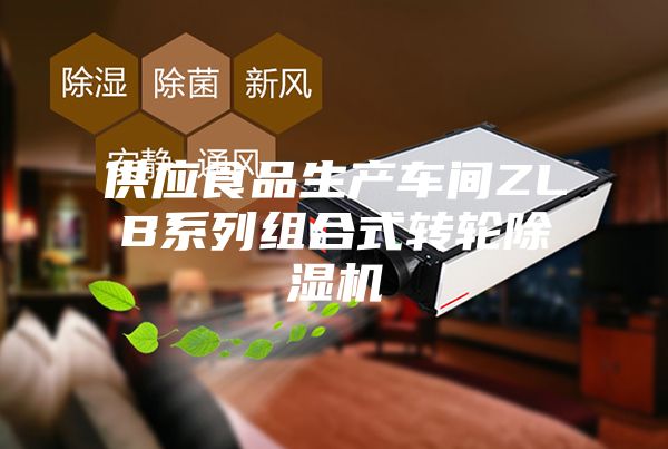 供應食品生產(chǎn)車間ZLB系列組合式轉(zhuǎn)輪除濕機