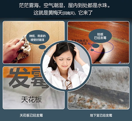 酒店、餐廳這么潮，誰還放心？除濕機(jī)用起來啊