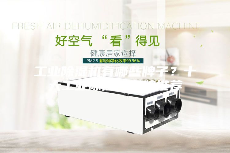 工業(yè)除濕機(jī)有哪些牌子？十大工業(yè)除濕機(jī)品牌推薦