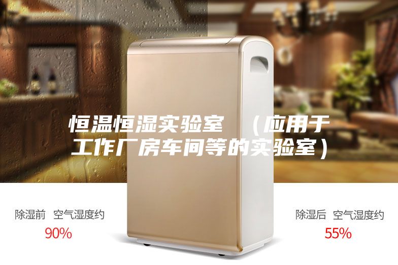 恒溫恒濕實(shí)驗(yàn)室 （應(yīng)用于工作廠房車(chē)間等的實(shí)驗(yàn)室）