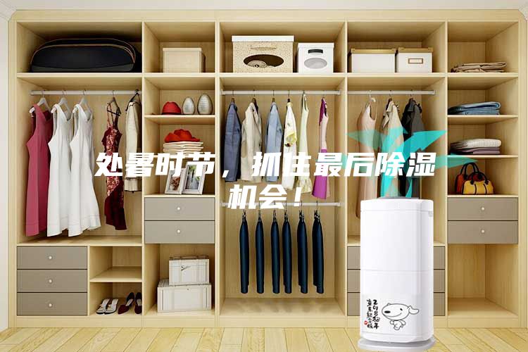 處暑時節(jié)，抓住最后除濕機會！