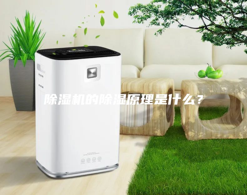 除濕機(jī)的除濕原理是什么？