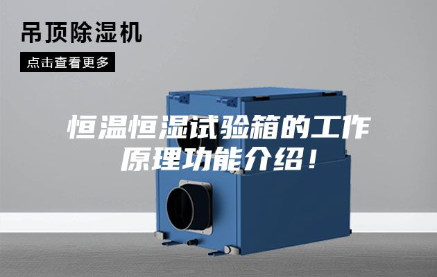 恒溫恒濕試驗(yàn)箱的工作原理功能介紹！