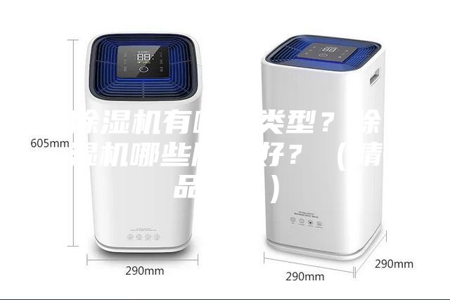 除濕機有哪些類型？除濕機哪些牌子好？（精品推薦）