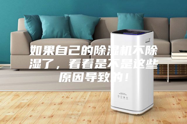 如果自己的除濕機(jī)不除濕了，看看是不是這些原因?qū)е碌模?></div>
								<div   id=