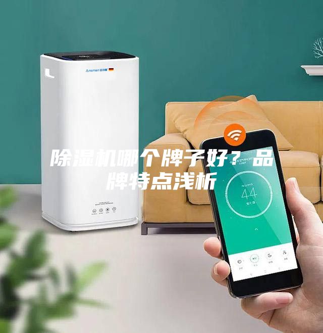 除濕機(jī)哪個(gè)牌子好？品牌特點(diǎn)淺析