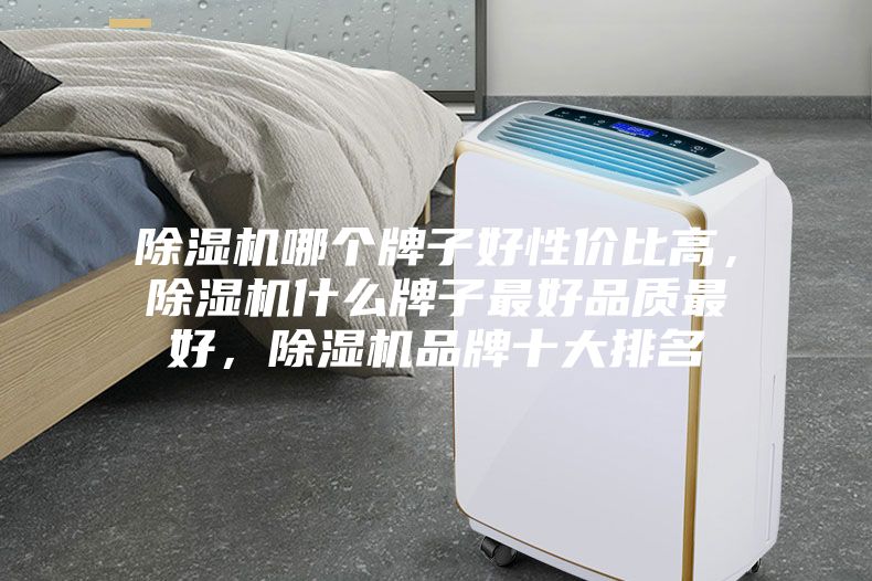 除濕機(jī)哪個(gè)牌子好性價(jià)比高，除濕機(jī)什么牌子最好品質(zhì)最好，除濕機(jī)品牌十大排名