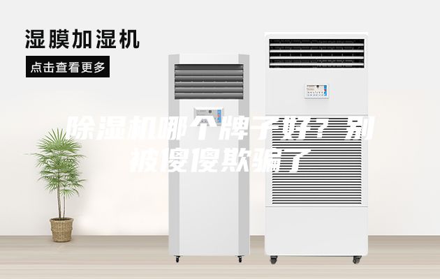 除濕機(jī)哪個(gè)牌子好？別被傻傻欺騙了