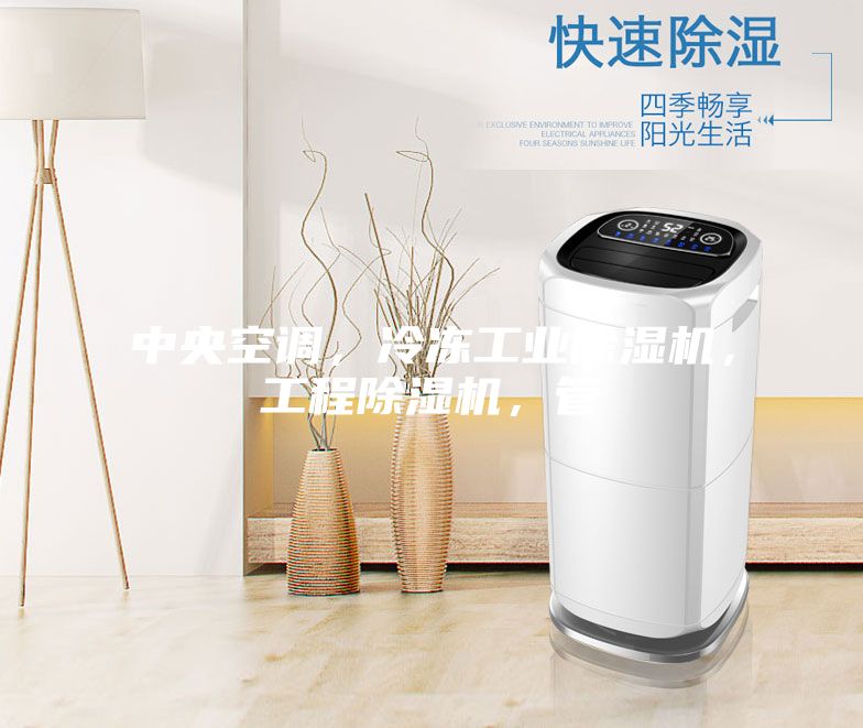 中央空調(diào)，冷凍工業(yè)除濕機(jī)，工程除濕機(jī)，管