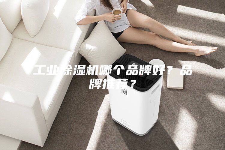 工業(yè)除濕機(jī)哪個(gè)品牌好？品牌推薦？