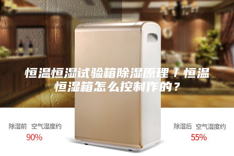 恒溫恒濕試驗箱除濕原理／恒溫恒濕箱怎么控制作的？