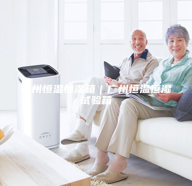 廣州恒溫恒濕箱｜廣州恒溫恒濕試驗(yàn)箱