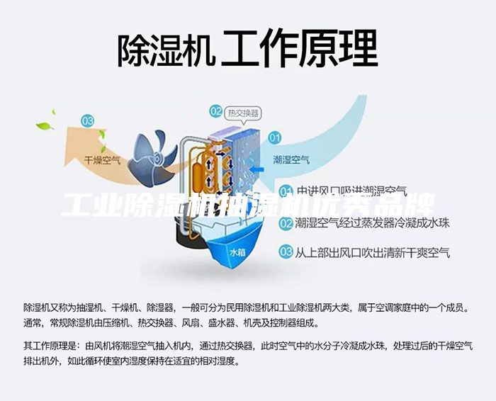 工業(yè)除濕機(jī)抽濕機(jī)優(yōu)秀品牌
