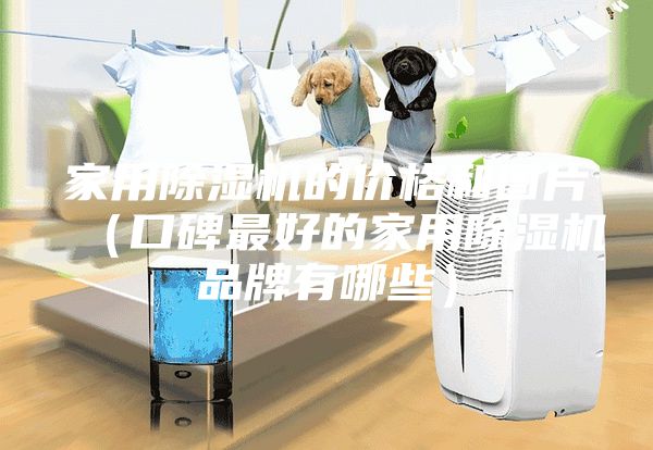 家用除濕機(jī)的價(jià)格和圖片(口碑最好的家用除濕機(jī)品牌有哪些)