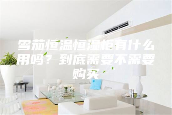 雪茄恒溫恒濕柜有什么用嗎？到底需要不需要購買