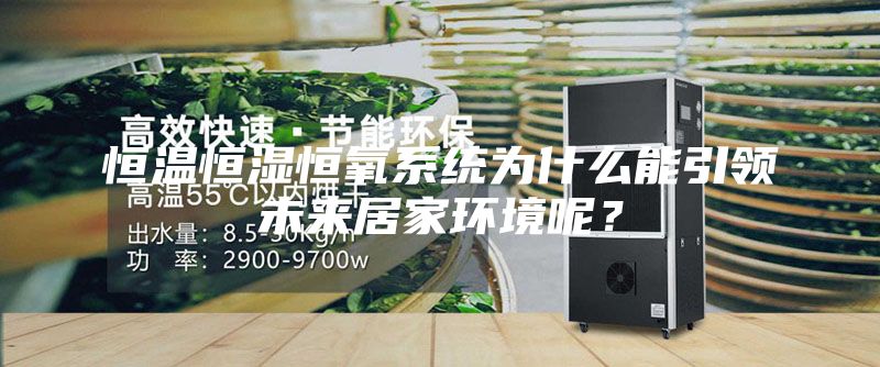 恒溫恒濕恒氧系統(tǒng)為什么能引領(lǐng)未來居家環(huán)境呢？