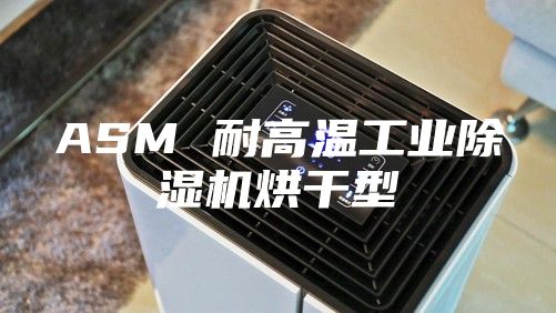 ASM 耐高溫工業(yè)除濕機(jī)烘干型
