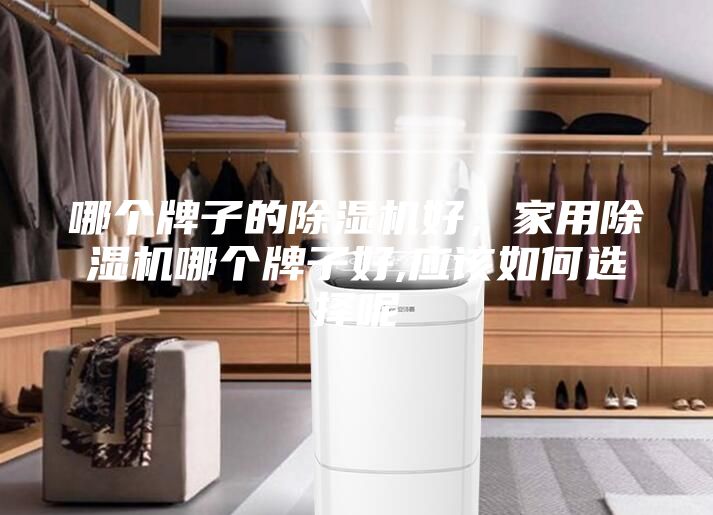 哪個牌子的除濕機好，家用除濕機哪個牌子好,應該如何選擇呢