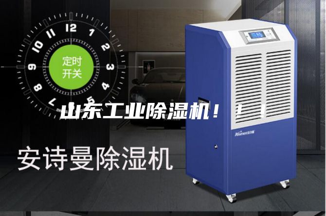 山東工業(yè)除濕機(jī)！?。?/></p>
                            <p style=