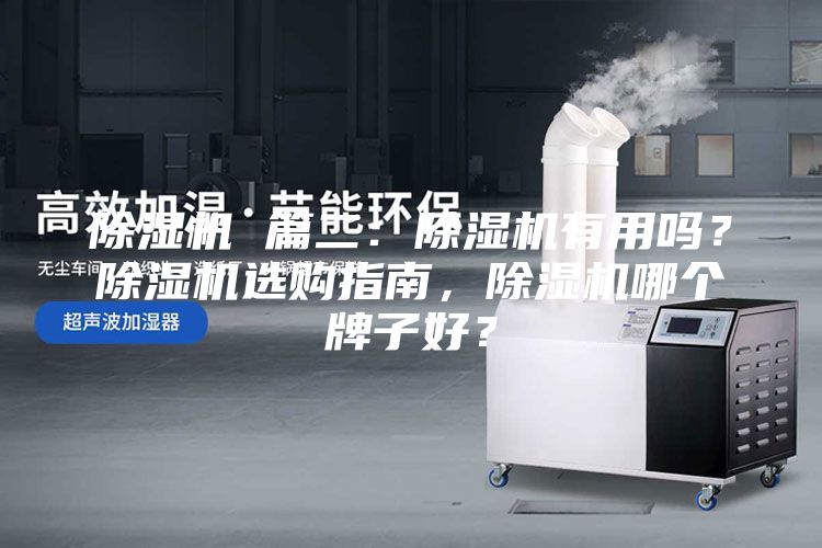 除濕機(jī) 篇二：除濕機(jī)有用嗎？除濕機(jī)選購(gòu)指南，除濕機(jī)哪個(gè)牌子好？
