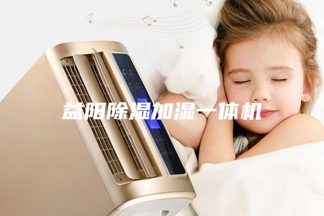 益陽(yáng)除濕加濕一體機(jī)