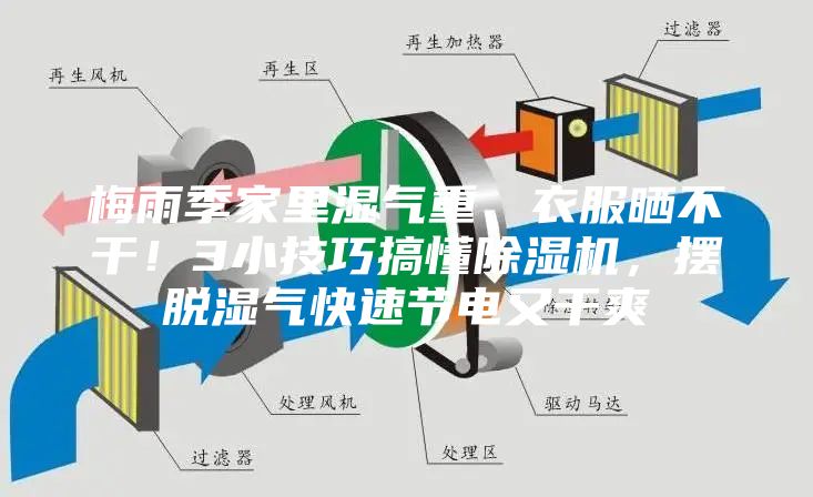 梅雨季家里濕氣重、衣服曬不干！3小技巧搞懂除濕機，擺脫濕氣快速節(jié)電又干爽