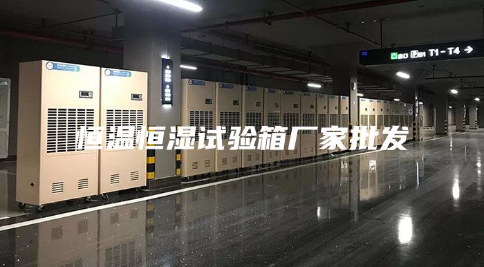 恒溫恒濕試驗箱廠家批發(fā)