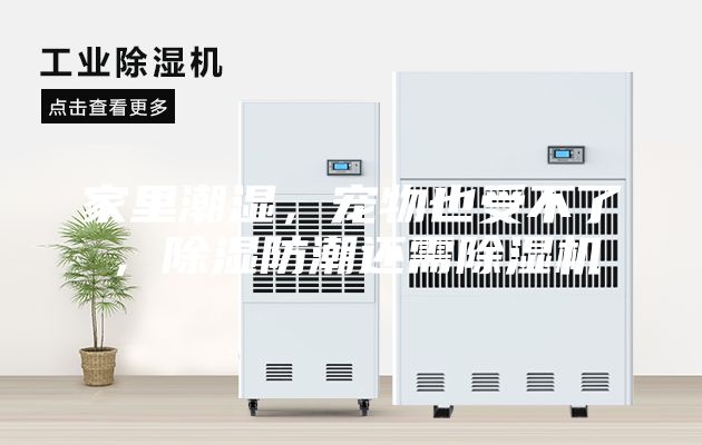 家里潮濕，寵物也受不了，除濕防潮還需除濕機