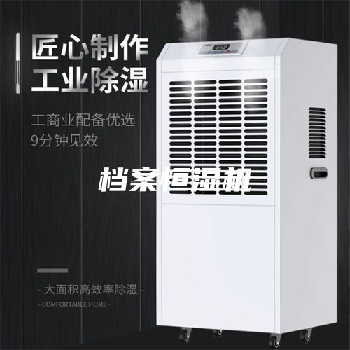 檔案恒濕機(jī)