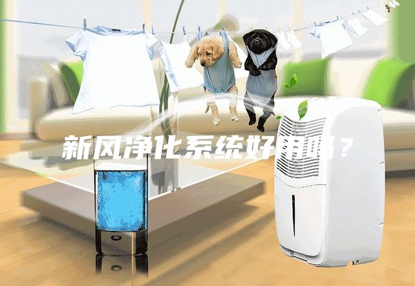 新風(fēng)凈化系統(tǒng)好用嗎？