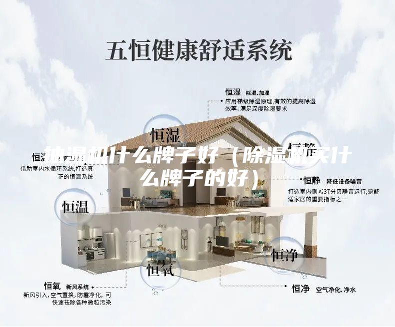 抽濕機(jī)什么牌子好（除濕機(jī)買什么牌子的好）