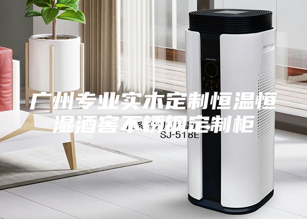 廣州專業(yè)實(shí)木定制恒溫恒濕酒窖不銹鋼定制柜
