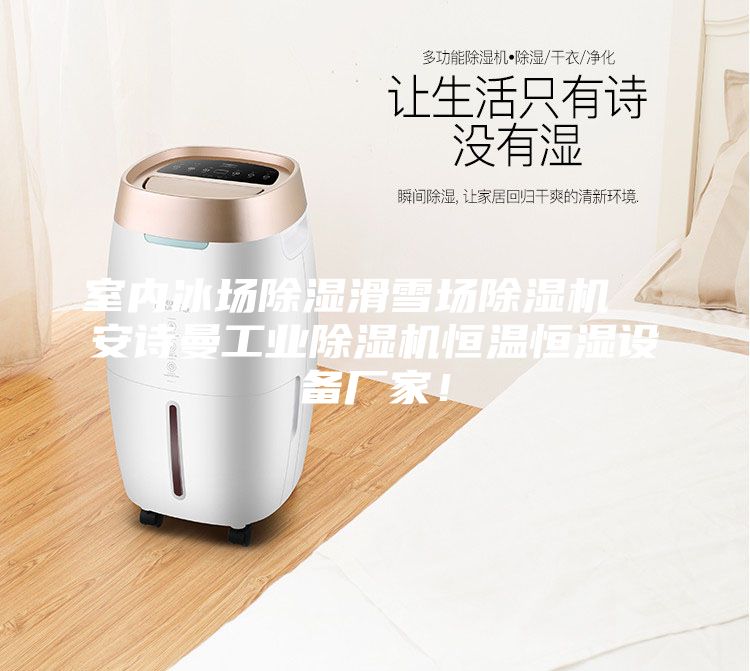 室內(nèi)冰場除濕滑雪場除濕機(jī) 安詩曼工業(yè)除濕機(jī)恒溫恒濕設(shè)備廠家!