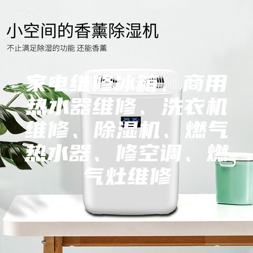 家電維修冰箱、商用熱水器維修、洗衣機(jī)維修、除濕機(jī)、燃?xì)鉄崴?、修空調(diào)、燃?xì)庠罹S修
