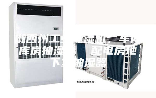 湘西州工業(yè)除濕機，車間庫房抽濕機  配電房地下室抽濕器