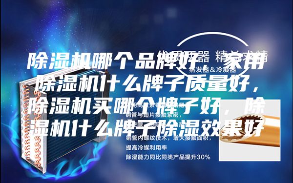 除濕機(jī)哪個(gè)品牌好，家用除濕機(jī)什么牌子質(zhì)量好，除濕機(jī)買哪個(gè)牌子好，除濕機(jī)什么牌子除濕效果好