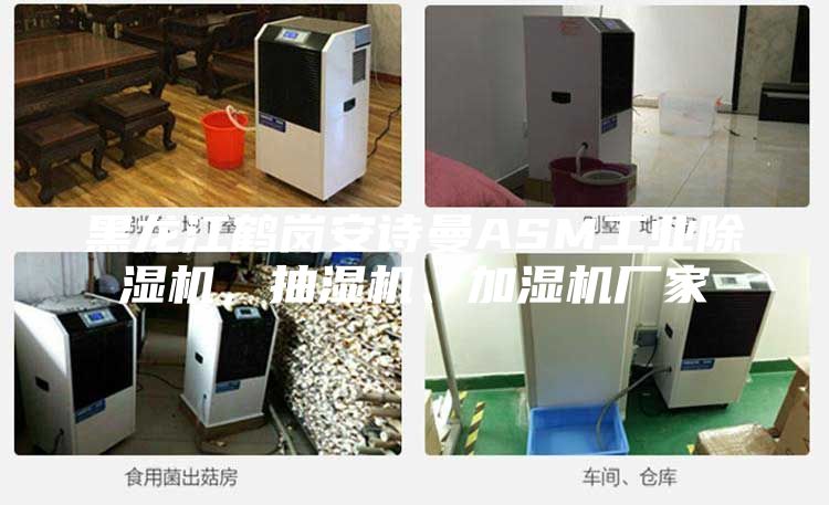 黑龍江鶴崗安詩(shī)曼ASM工業(yè)除濕機(jī)，抽濕機(jī)、加濕機(jī)廠家