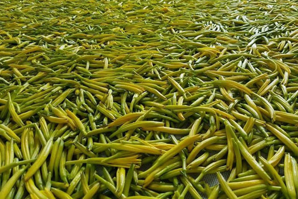 無硫金針菜烘干如何保持品相？不發(fā)黑？_除濕機廠家