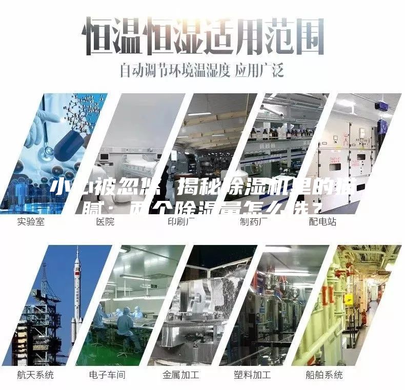 小心被忽悠 揭秘除濕機(jī)里的貓膩：兩個除濕量怎么選？