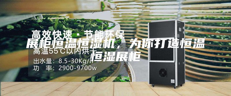 展柜恒溫恒濕機(jī)，為你打造恒溫恒濕展柜