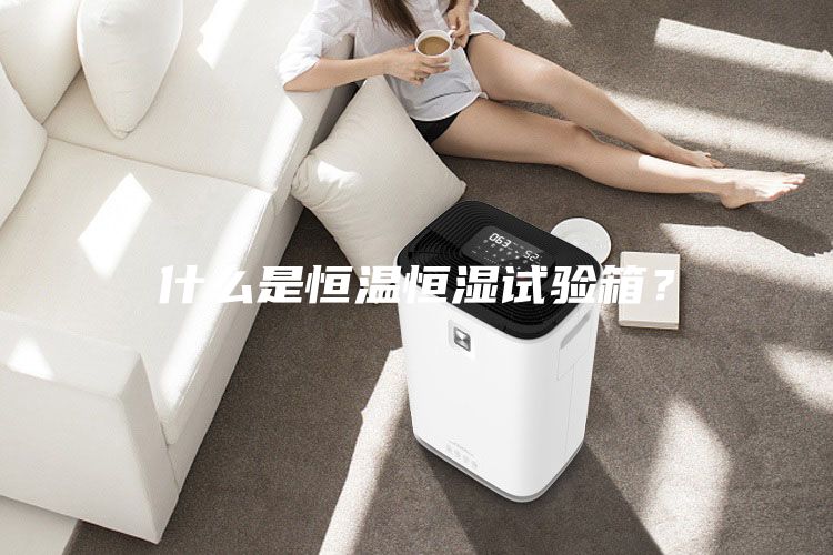 什么是恒溫恒濕試驗(yàn)箱？